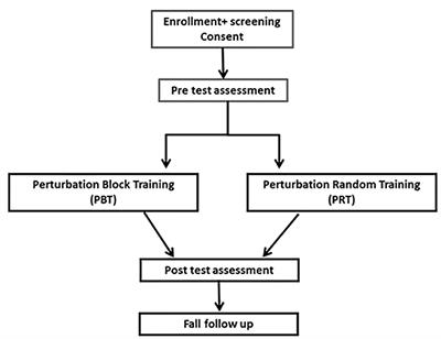 Examining Different Motor Learning Paradigms for Improving Balance Recovery Abilities Among Older Adults, Random vs. Block Training—Study Protocol of a Randomized Non-inferiority Controlled Trial